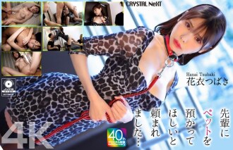 item.video_no