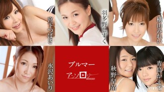 item.video_no